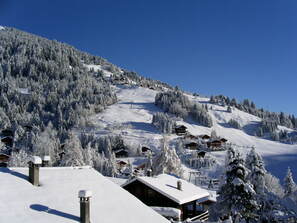 Morgins photo