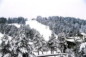 Boyce Park photo