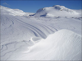 Harwood Common photo