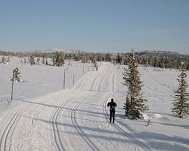 Sjusjoen photo