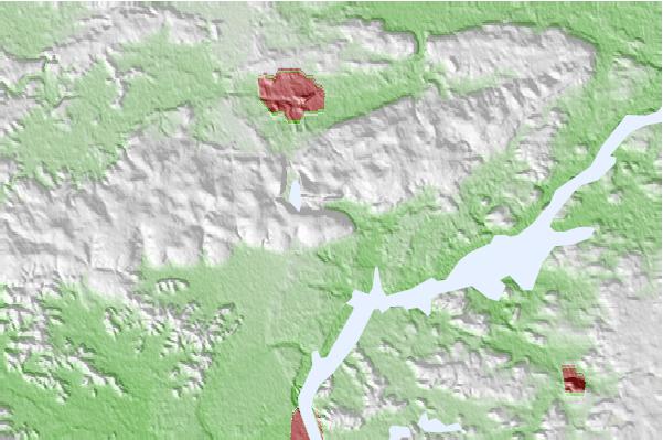 @{@location.name} neighbourhood basemap