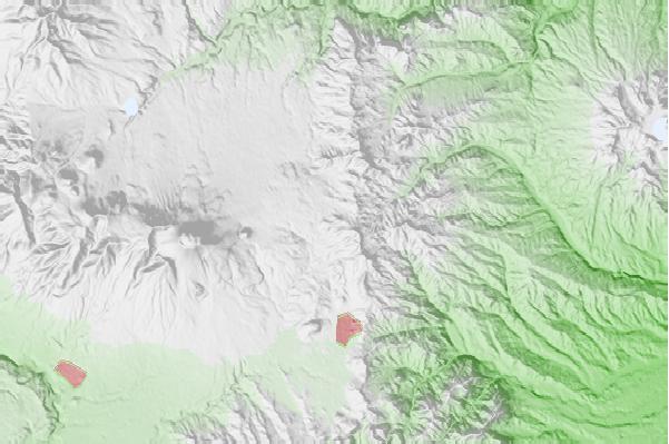 @{@location.name} neighbourhood basemap