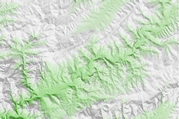 @{@location.name} neighbourhood basemap