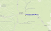 Local Map
