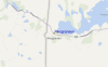 Streetview Map